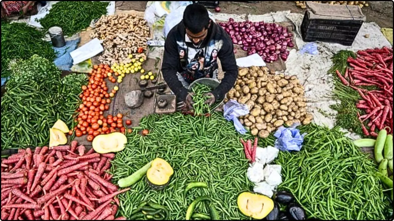 मैन्युफैक्चरिंग प्रोडक्ट्स