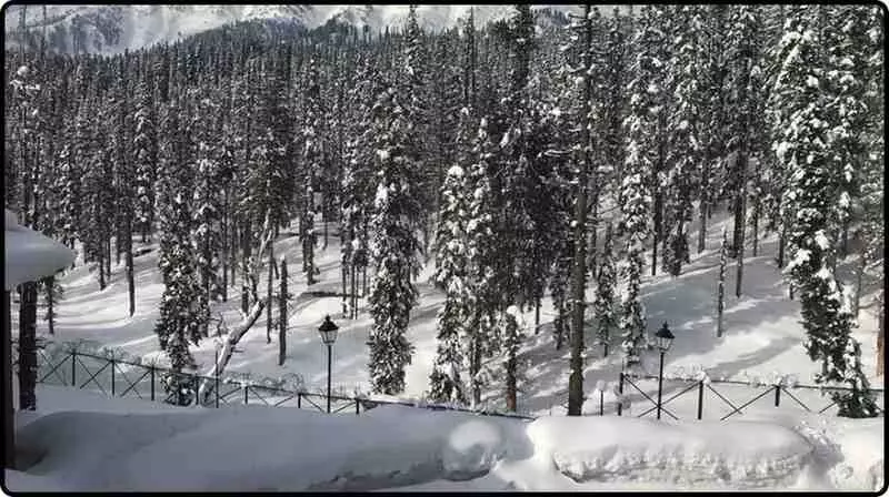 Kashmi9r Valley News