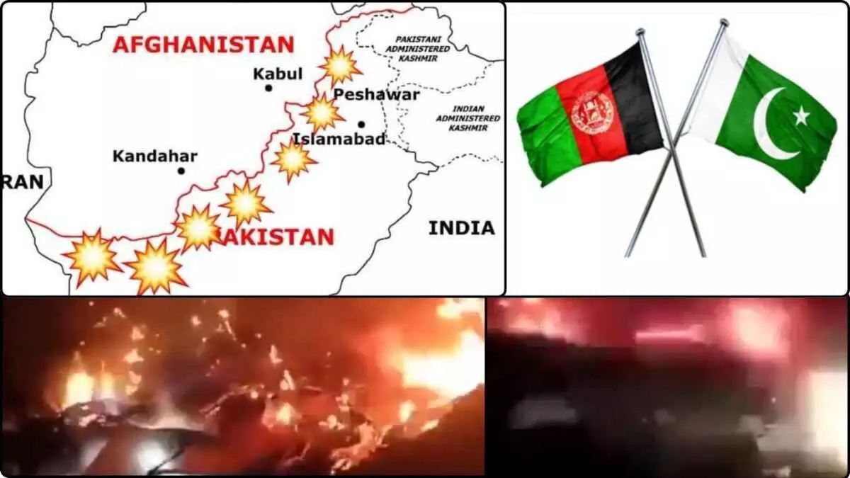 International News International News