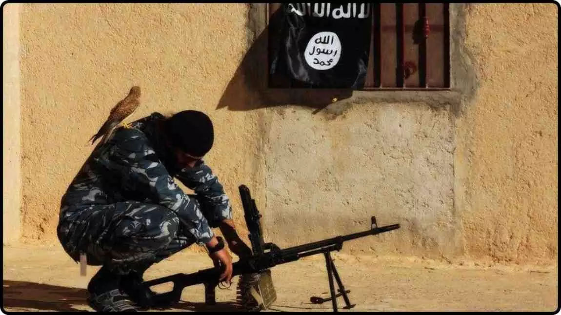 रिफरेन्स इमेज ISIS रिफरेन्स इमेज ISIS