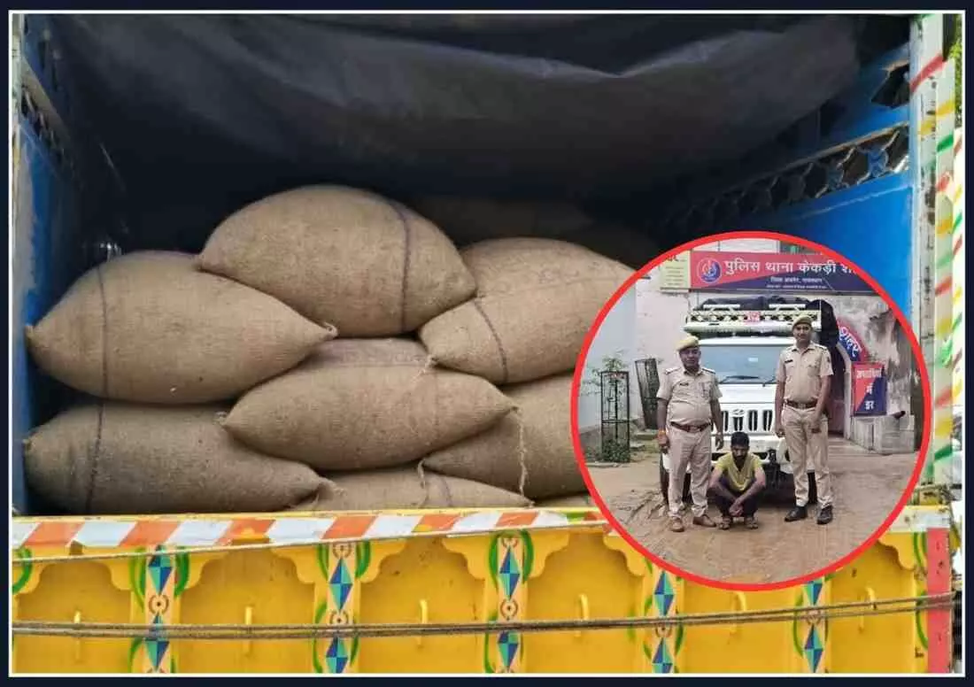 A cunning thief who stole 55 sacks of chickpeas from a warehouse has been arrested A cunning thief who stole 55 sacks of chickpeas from a warehouse has been arrested