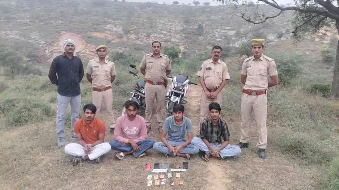 A gang of cyber criminals was caught at the foothills of Olanda Mountain