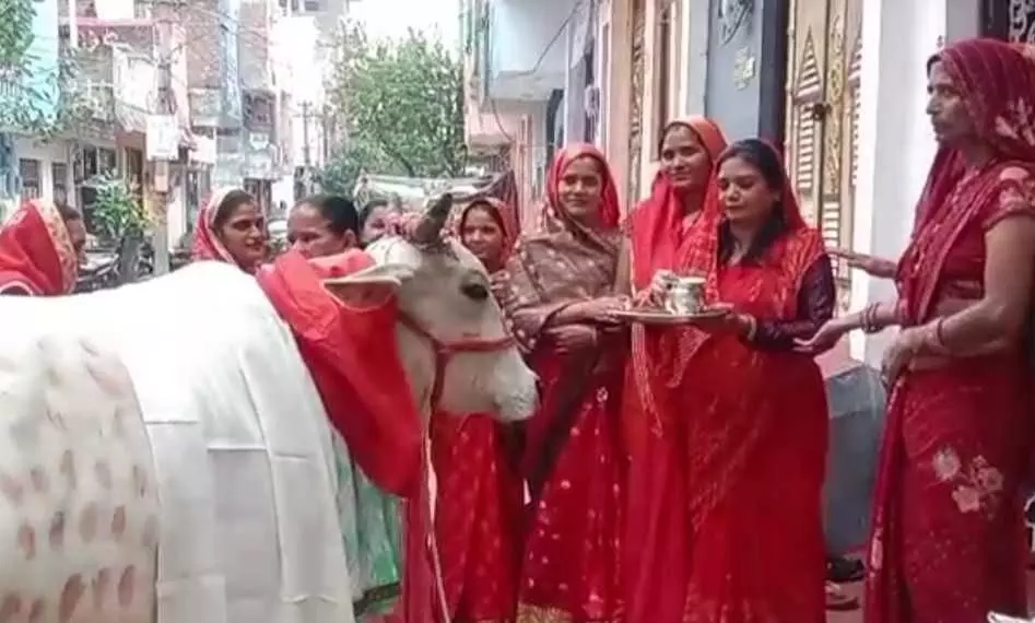 On Gopashtami, the Bharatiya Kisan Sangh performed cow worship, and women served and praised cows.