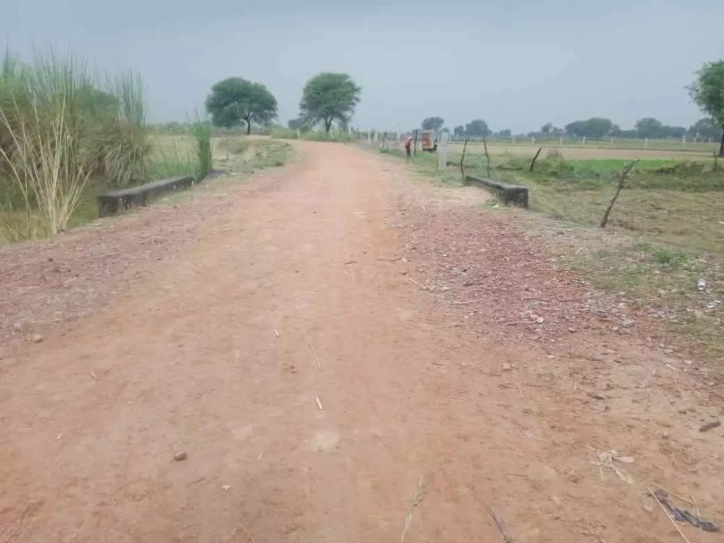 The Sanchauli-Tigaria gravel road has been waiting for asphalting for ten months The Sanchauli-Tigaria gravel road has been waiting for asphalting for ten months