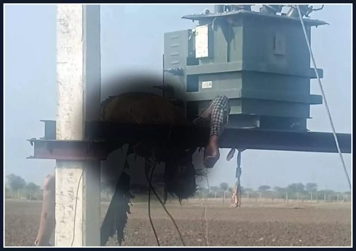 A young man climbed a transformer in Patoli village, Tonk
