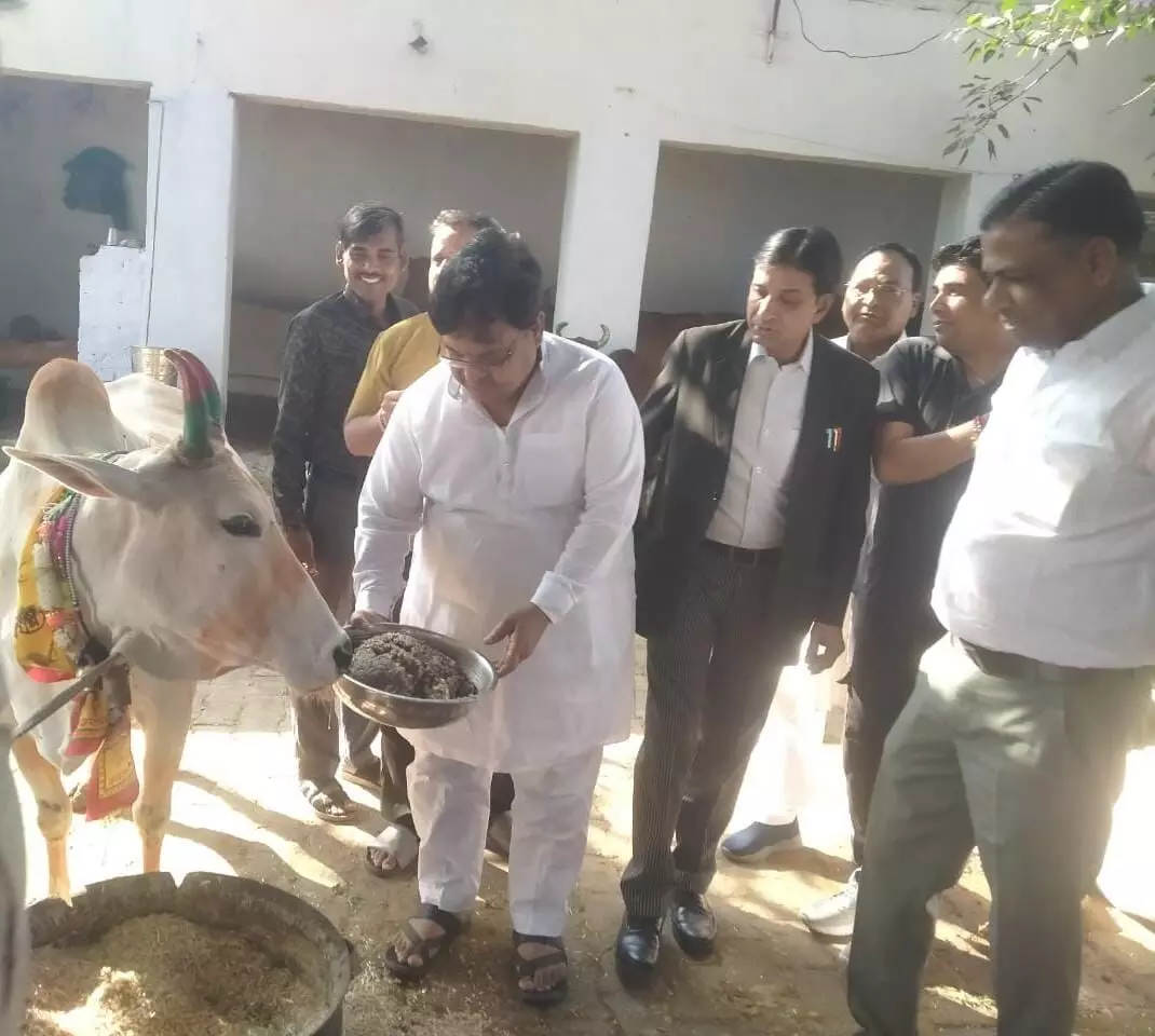 Dr. Kirori Lal Meena, BJP workers offered cow service and wished him a long life, Dr. Kirori Lal Meena, BJP workers offered cow service and wished him a long life,