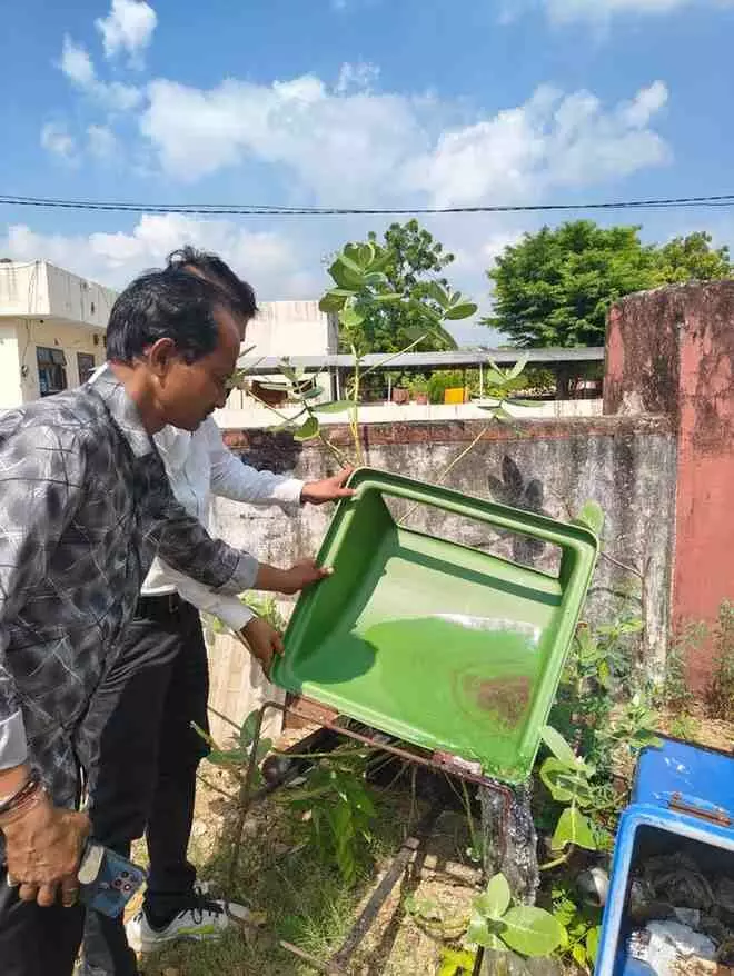 Attack on mosquito-borne diseases: Medical department intensifies anti-larvae activities across the district