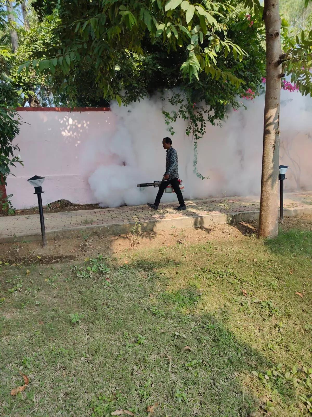 मच्छर जनित रोगों पर काबू के लिए चिकित्सा विभाग सक्रिय, सवाई माधोपुर में फॉगिंग और एंटी लार्वा अभियान तेज