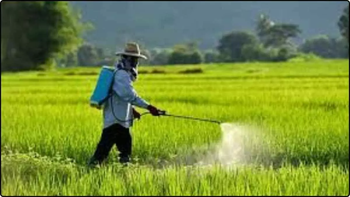 Agriculture News Agriculture News