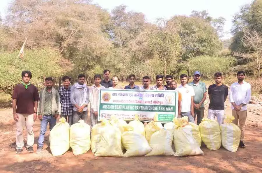 Plastic waste removed from the forest, Plastic waste removed from the forest,