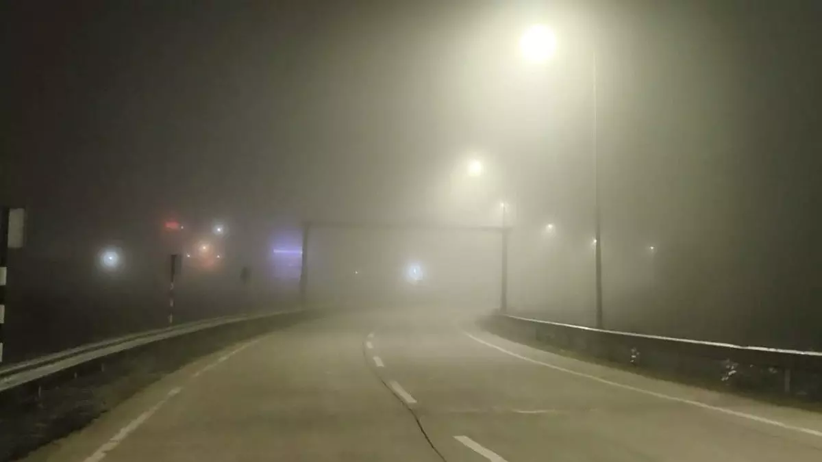 Fogg in Dausa Fogg in Dausa