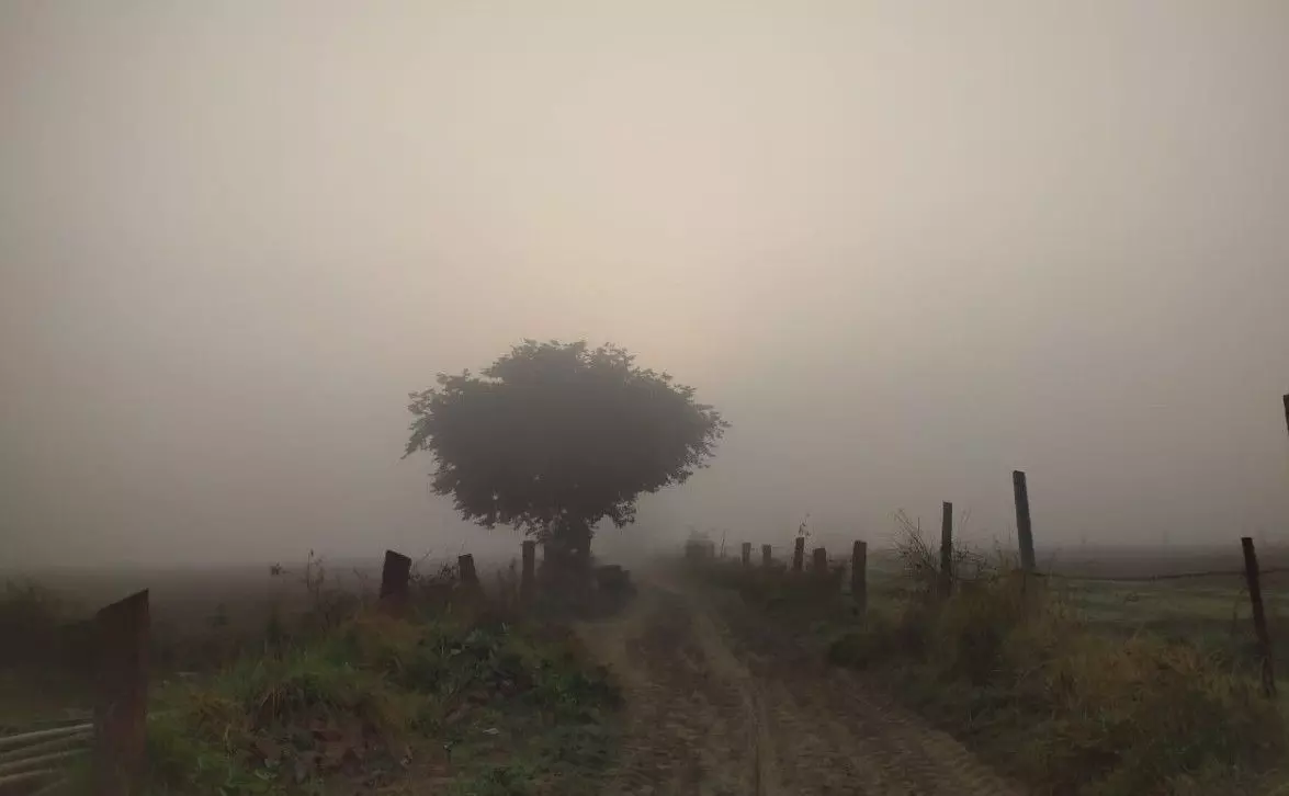 Dense fog engulfs rural areas in Bharatpur in the morning and evening, Dense fog engulfs rural areas in Bharatpur in the morning and evening,