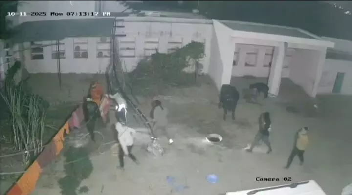 Six masked robbers were caught on CCTV Six masked robbers were caught on CCTV