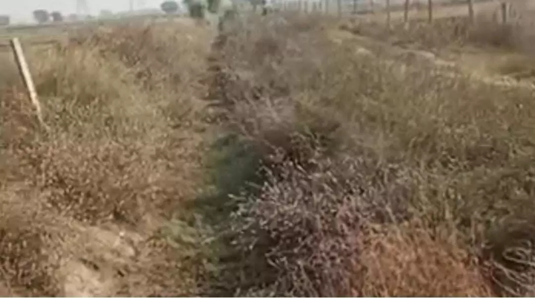 Water will be released from Kalisin Dam