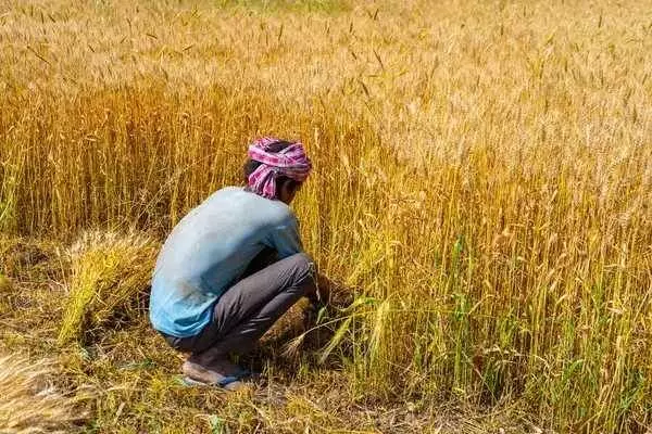The government took a major step; names of 35 lakh farmers were removed from the PM-Kisan scheme.