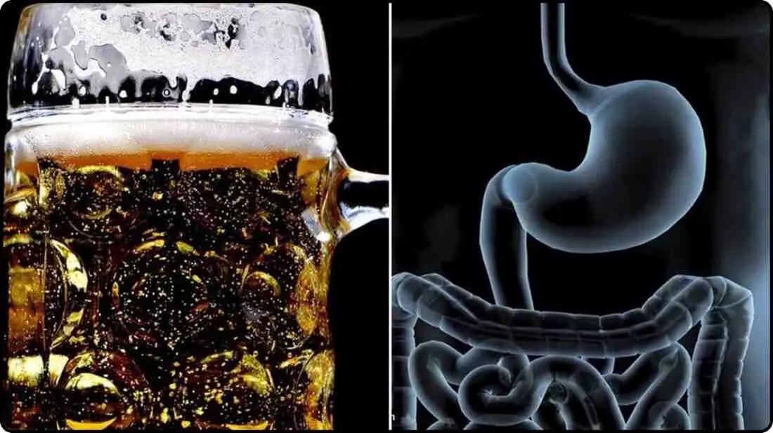 How can moderate beer consumption improve digestion? Learn the best options for Indian weather. How can moderate beer consumption improve digestion? Learn the best options for Indian weather.