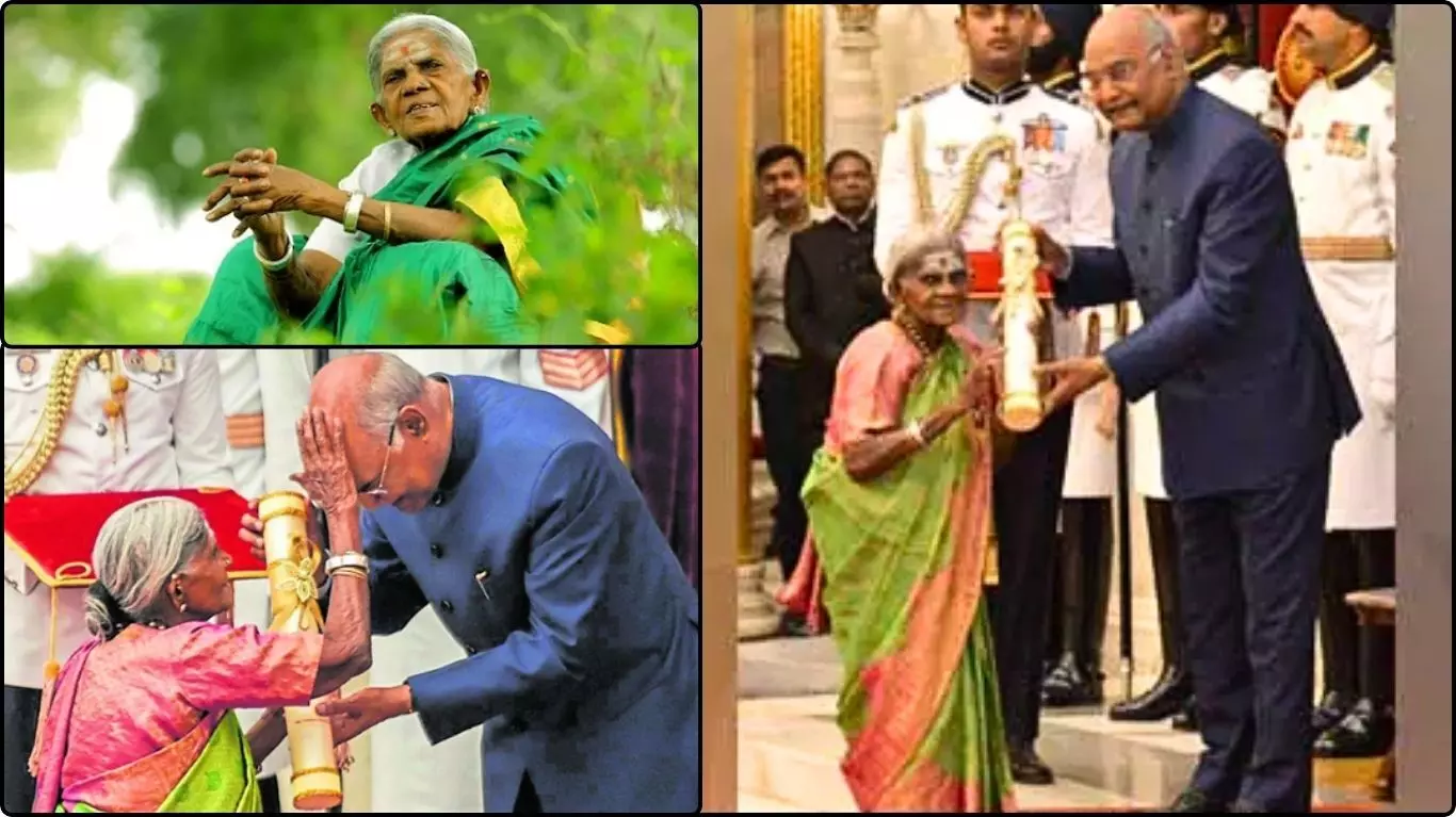 Saalumarada Thimmakka Died Saalumarada Thimmakka Died