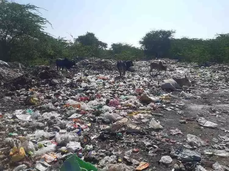 Lavasardargarh has become a dumping yard Lavasardargarh has become a dumping yard