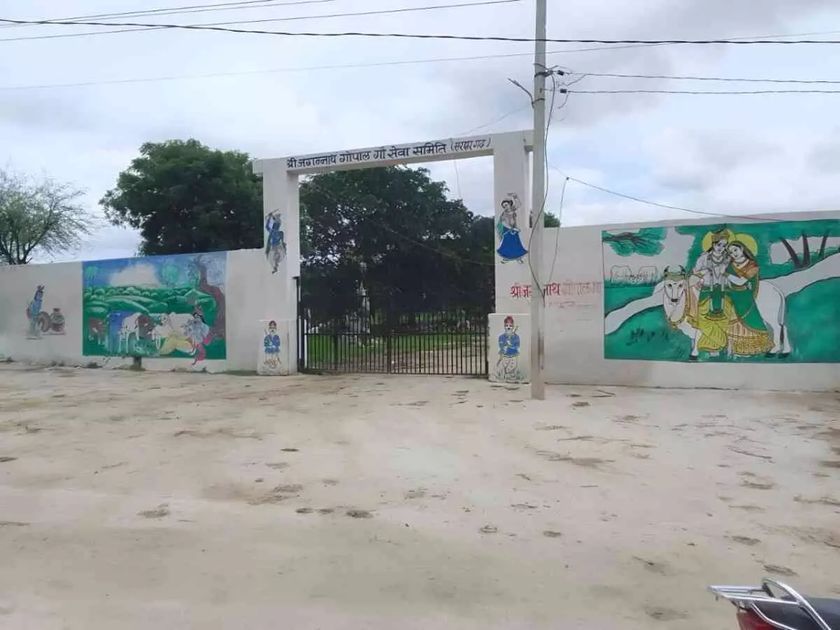 lack of basic facilities. lack of basic facilities.
