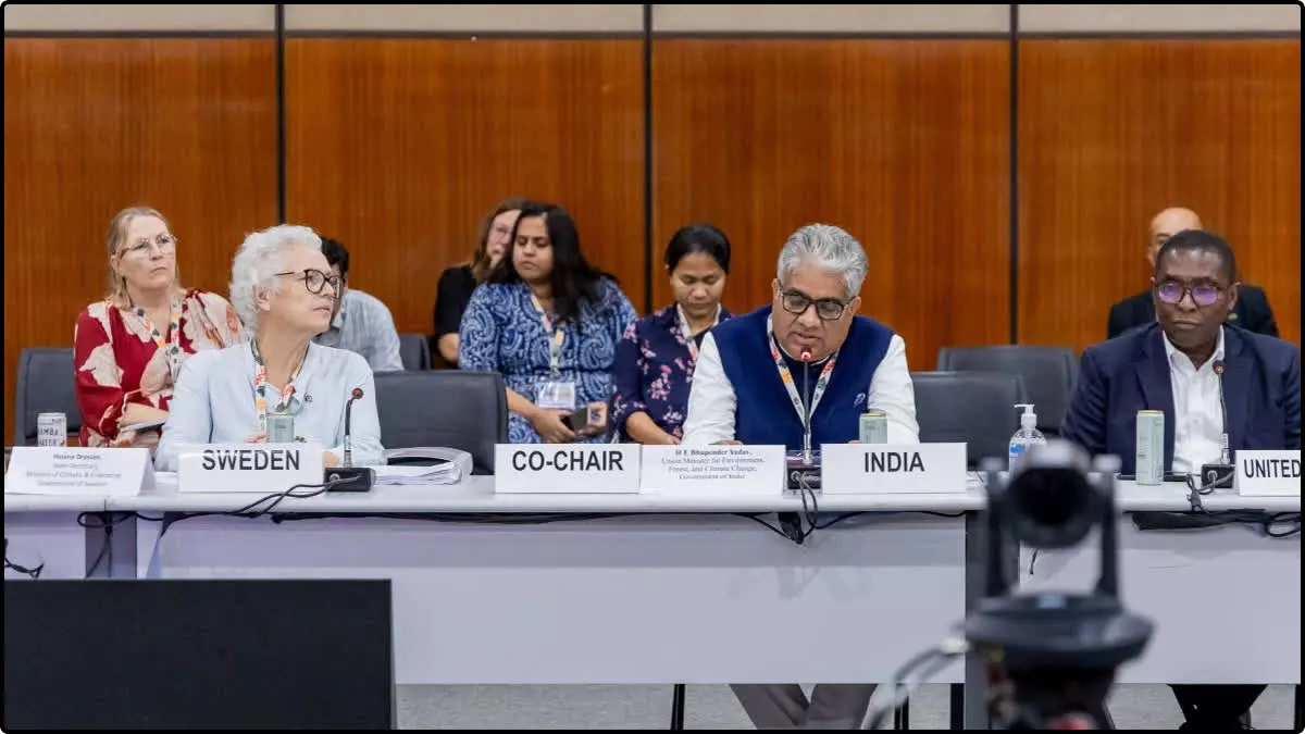 Global Big Cats Summit 2026