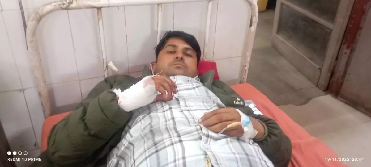 Forest guard attacked