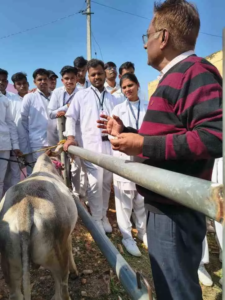 Nagphani College