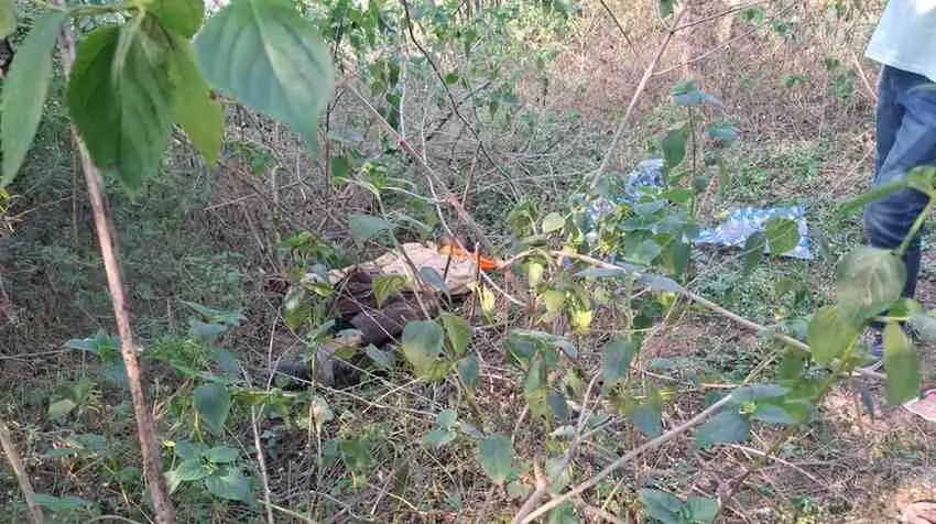 Body of missing man found in bushes Body of missing man found in bushes