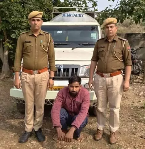 267 kg of illegal dodachura smuggled in milk 267 kg of illegal dodachura smuggled in milk