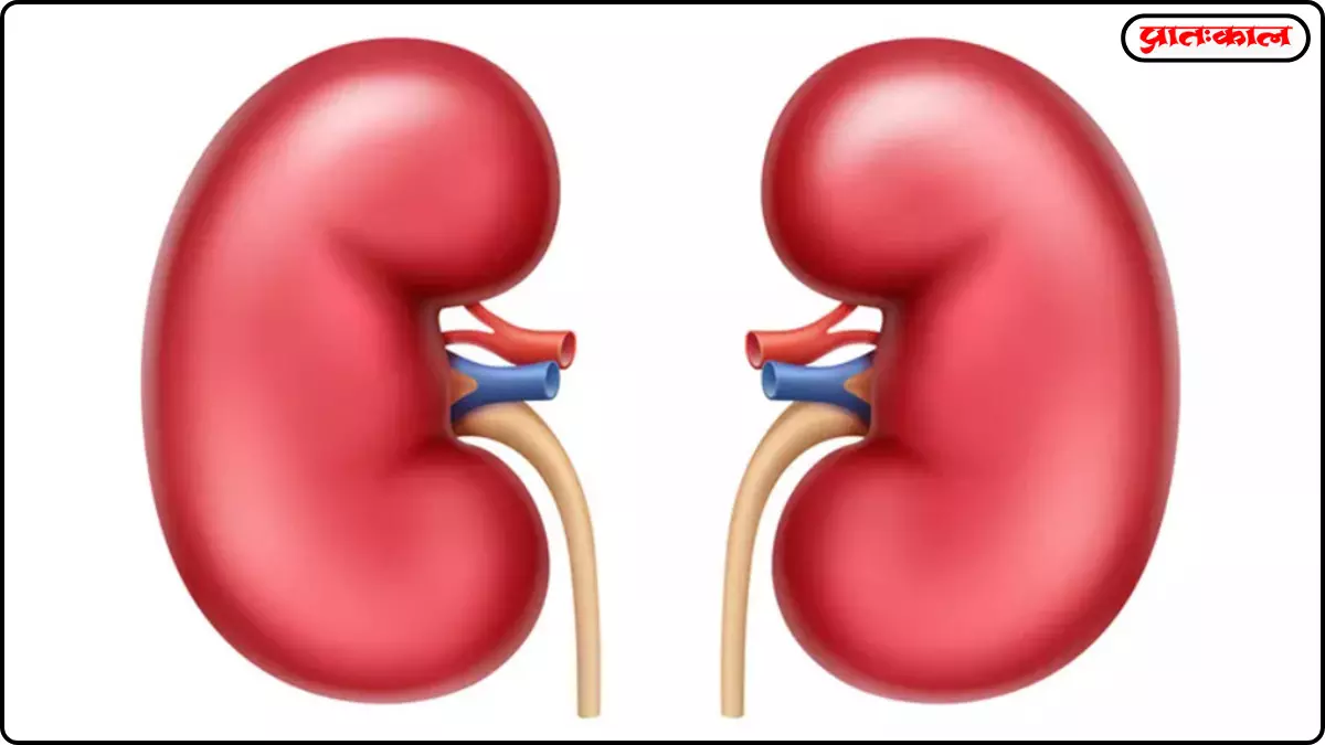 Hospital pediatric kidney transplant 2025