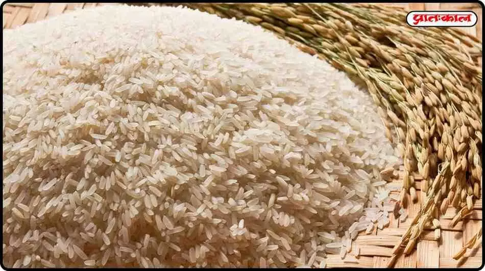 Rice production reaches a record 124.5 million tonnes; pulses and oilseeds warn of decline Rice production reaches a record 124.5 million tonnes; pulses and oilseeds warn of decline