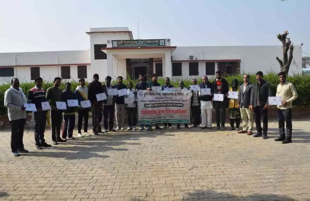 Seven-day commercial piggery training concludes successfully in Nohar Seven-day commercial piggery training concludes successfully in Nohar