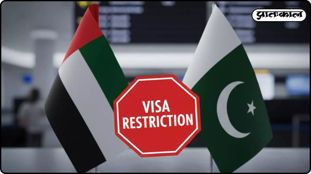 UAE puts a halt on Pakistani visas, citing criminal activities as the reason UAE puts a halt on Pakistani visas, citing criminal activities as the reason