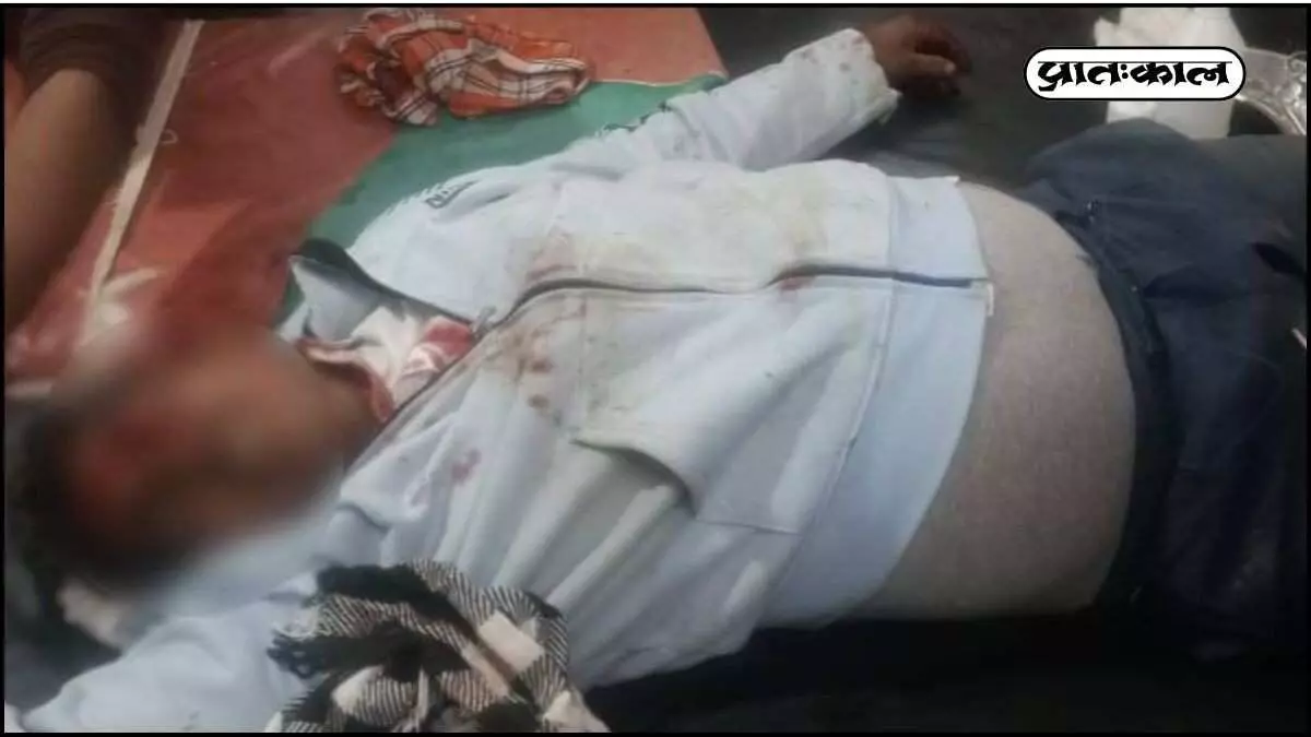 Bear attack: Villager seriously injured