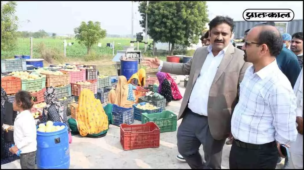 District Collector inaugurated guava processing unit,