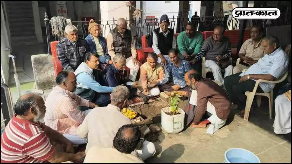 Tree plantation and cleanliness Tree plantation and cleanliness