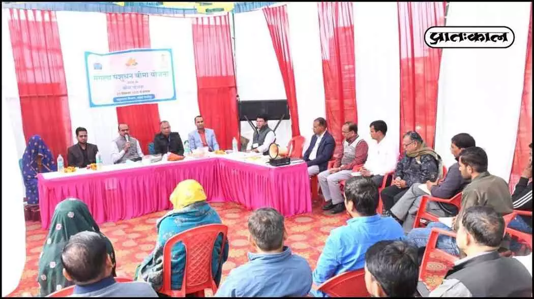 the Chief Minister Mangala Pashu Bima Yojana