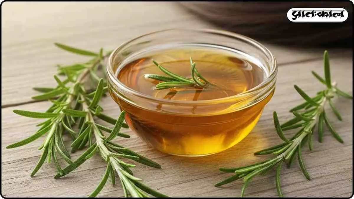 Rosemary for Hair: Boost Strength and Shine with Oil and Rinse Rosemary for Hair: Boost Strength and Shine with Oil and Rinse