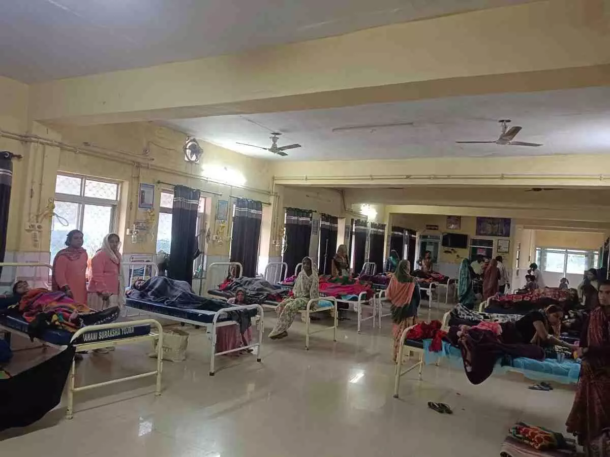 52 women adopted permanent family