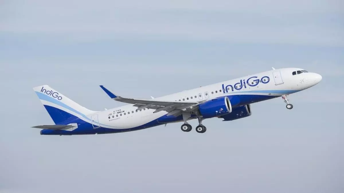 indigo flight crisis india indigo flight crisis india