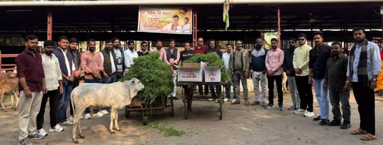 Mukesh Nahatas birthday celebrated with cow service and social work Mukesh Nahatas birthday celebrated with cow service and social work
