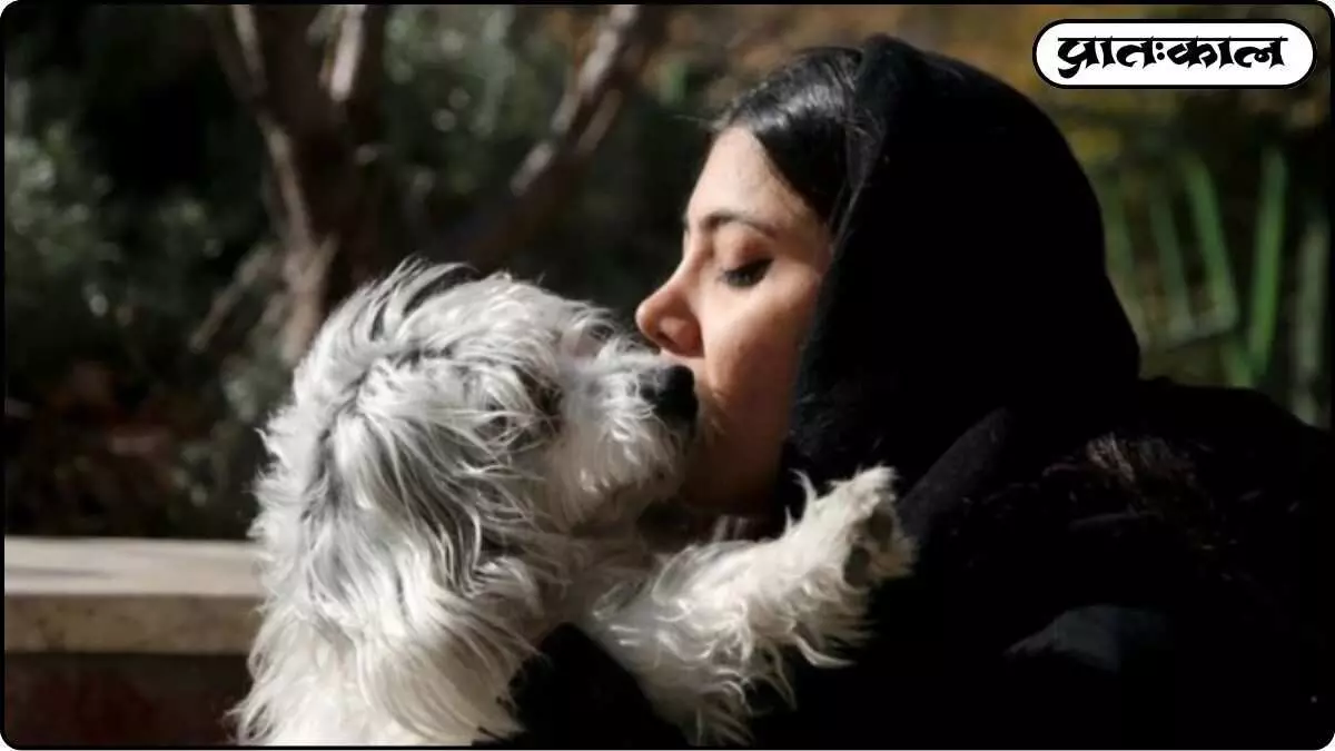 Why Do People Love Dogs Why Do People Love Dogs