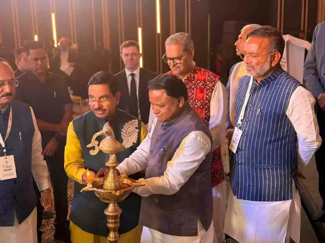Rajasthan will make a significant contribution in meeting Rajasthan will make a significant contribution in meeting
