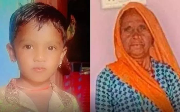 a son-in-law brutally murdered his mother-in-law and 5-year-old grandson,
