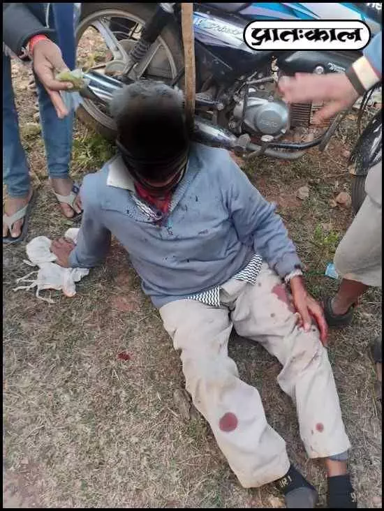 Panther attacks farms: Three injured, one critical Panther attacks farms: Three injured, one critical