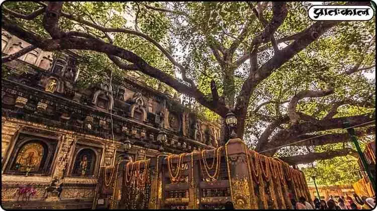बिहार से जुड़ा है बौद्ध धर्म का इतिहास ; जानें कैसे बना ये श्रद्धालुओं के लिए प्रमुख तीर्थयात्रा स्थल बिहार से जुड़ा है बौद्ध धर्म का इतिहास ; जानें कैसे बना ये श्रद्धालुओं के लिए प्रमुख तीर्थयात्रा स्थल