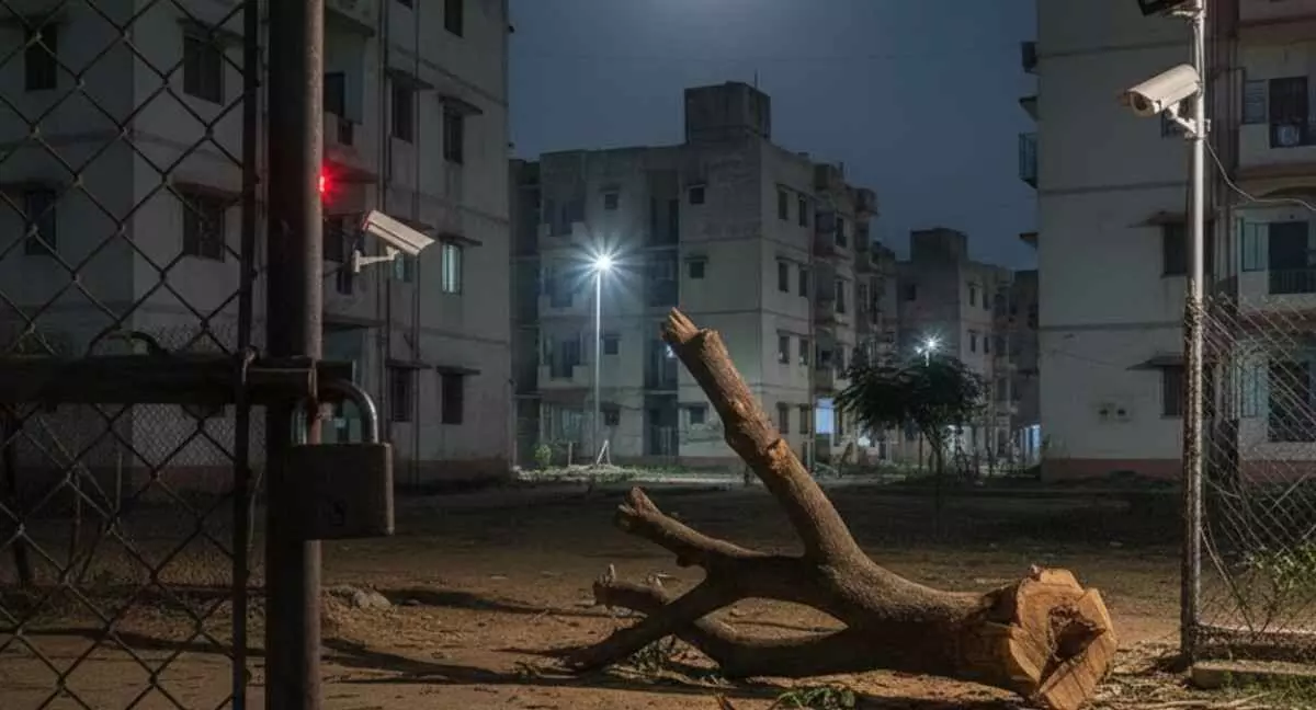 Dungarpur: Sandalwood tree stolen from government quarters in Azad Nagar Dungarpur: Sandalwood tree stolen from government quarters in Azad Nagar