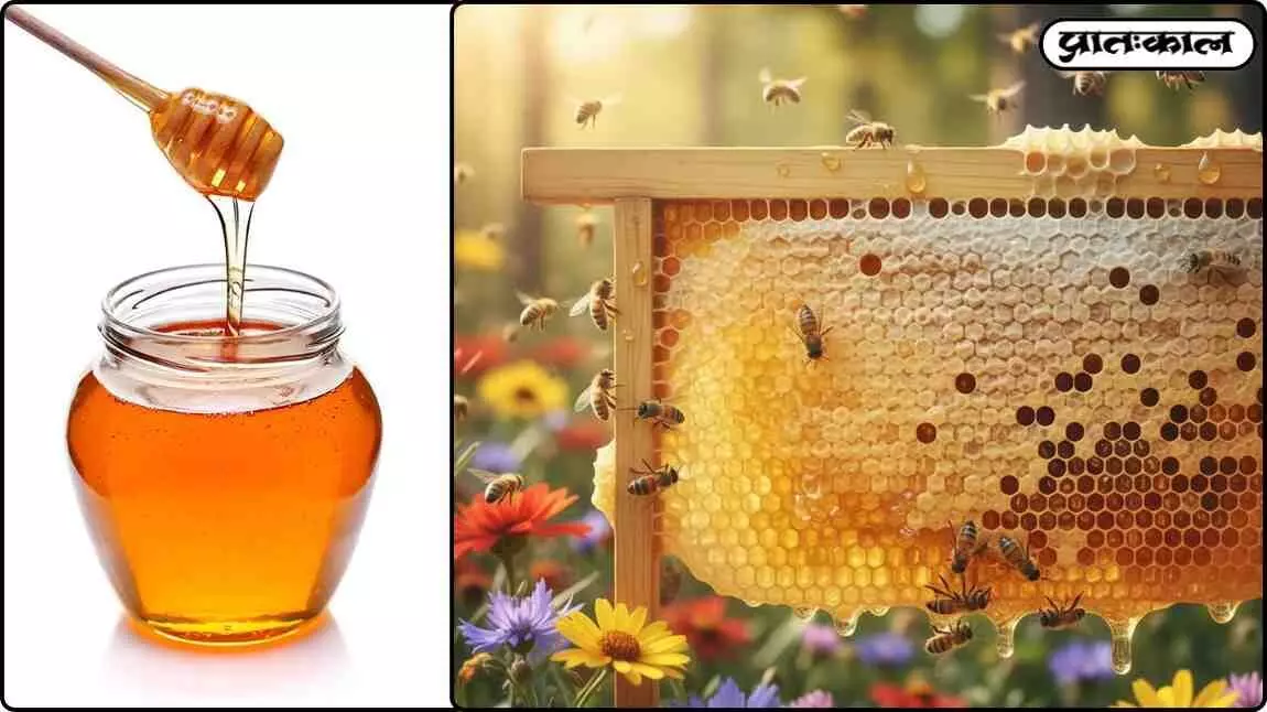 honey production process India honey production process India