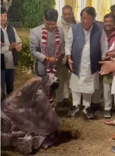 The bride and groom set a unique example at their wedding and engagement, planting trees and spreading the message of environmental protection.