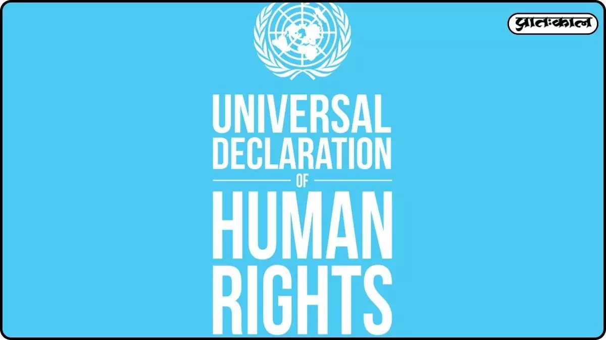 Why was the UDHR created? Learn about its contribution to modern society. Why was the UDHR created? Learn about its contribution to modern society.