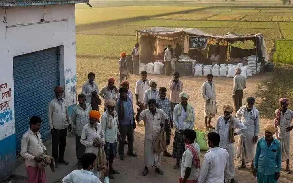 There is a severe shortage of urea in the Chaurasi constituency, There is a severe shortage of urea in the Chaurasi constituency,